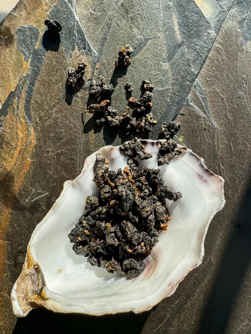 Zhu Lu Alishan Red Oolong, 2025
