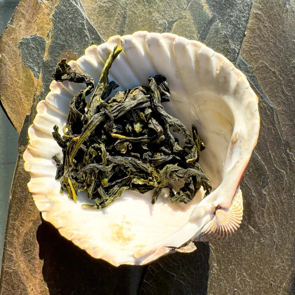 Baozhong, Spring 2024 π