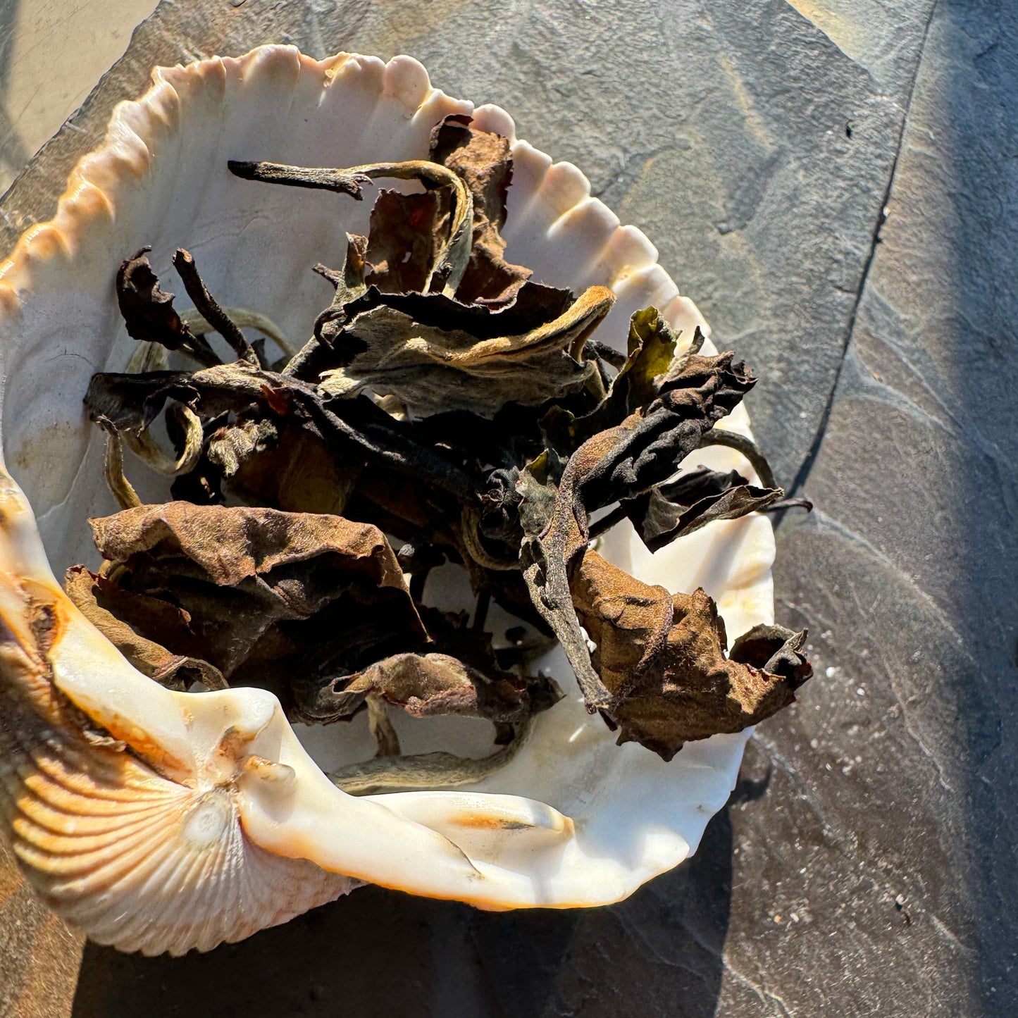 Taiwanese White Tea