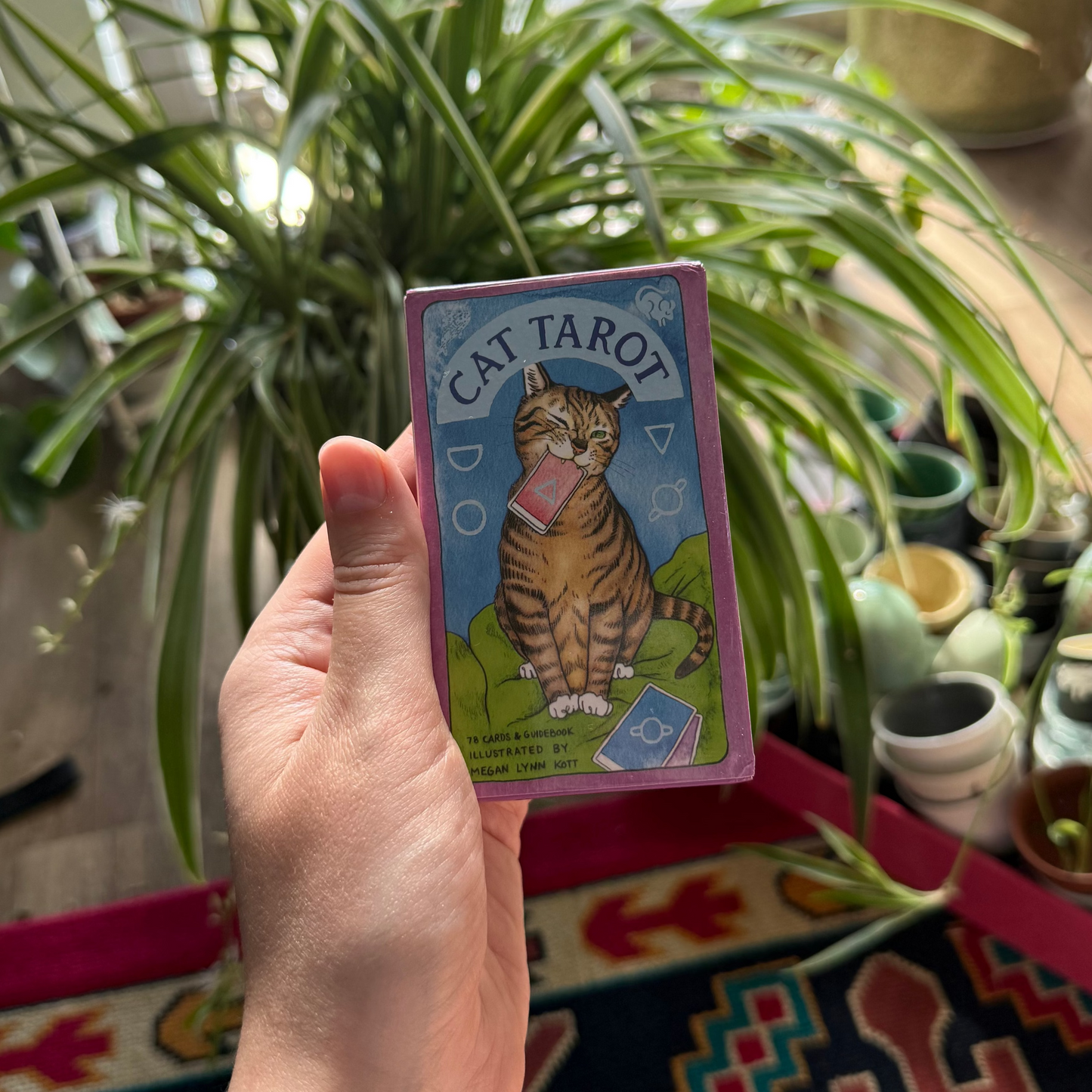 Cat Tarot