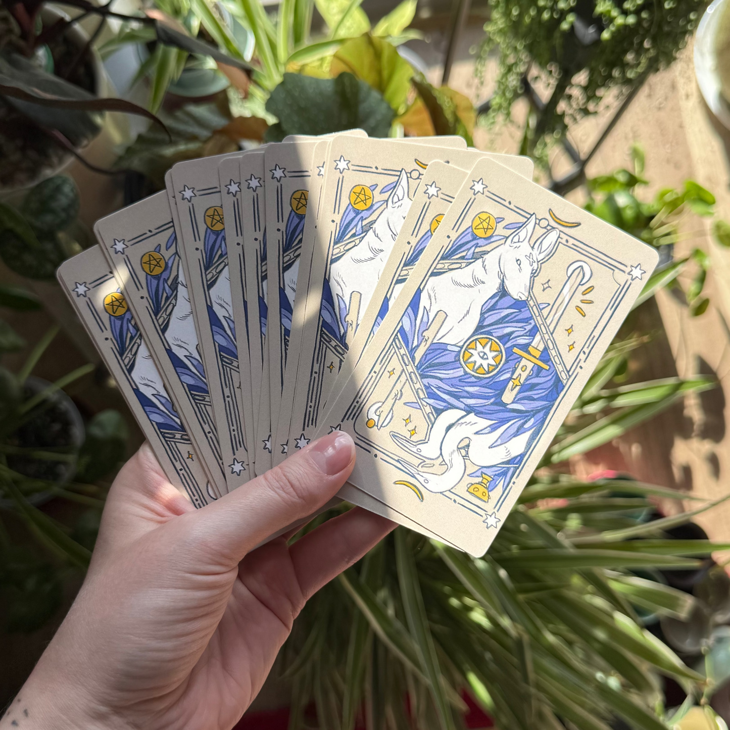 White Numen: A Sacred Animal Tarot