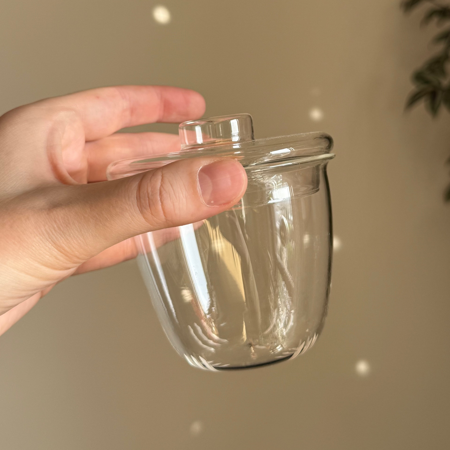 Glass Teapot with Removable Infuser, 500 ml