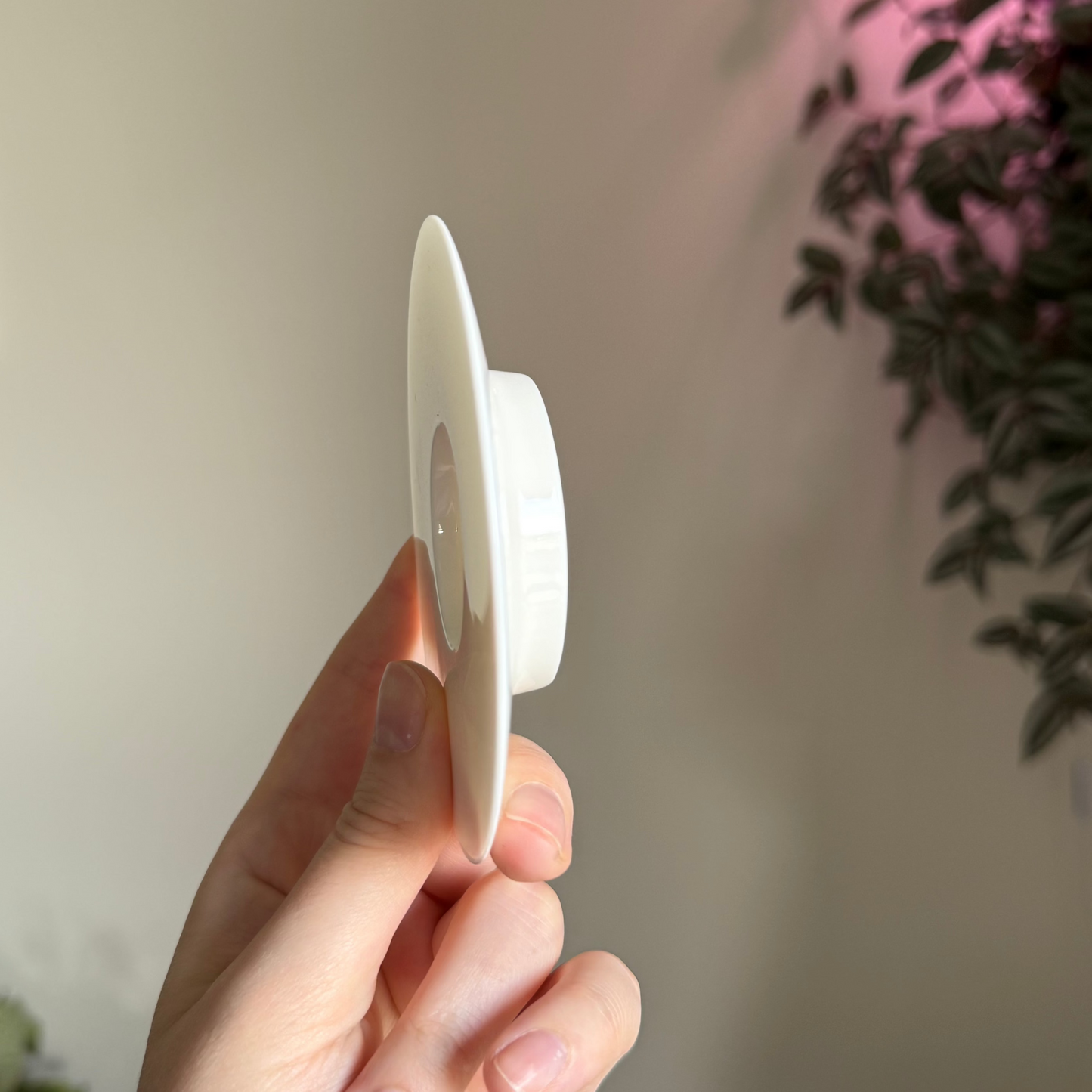 Thin White Gaiwan , ~100 ml