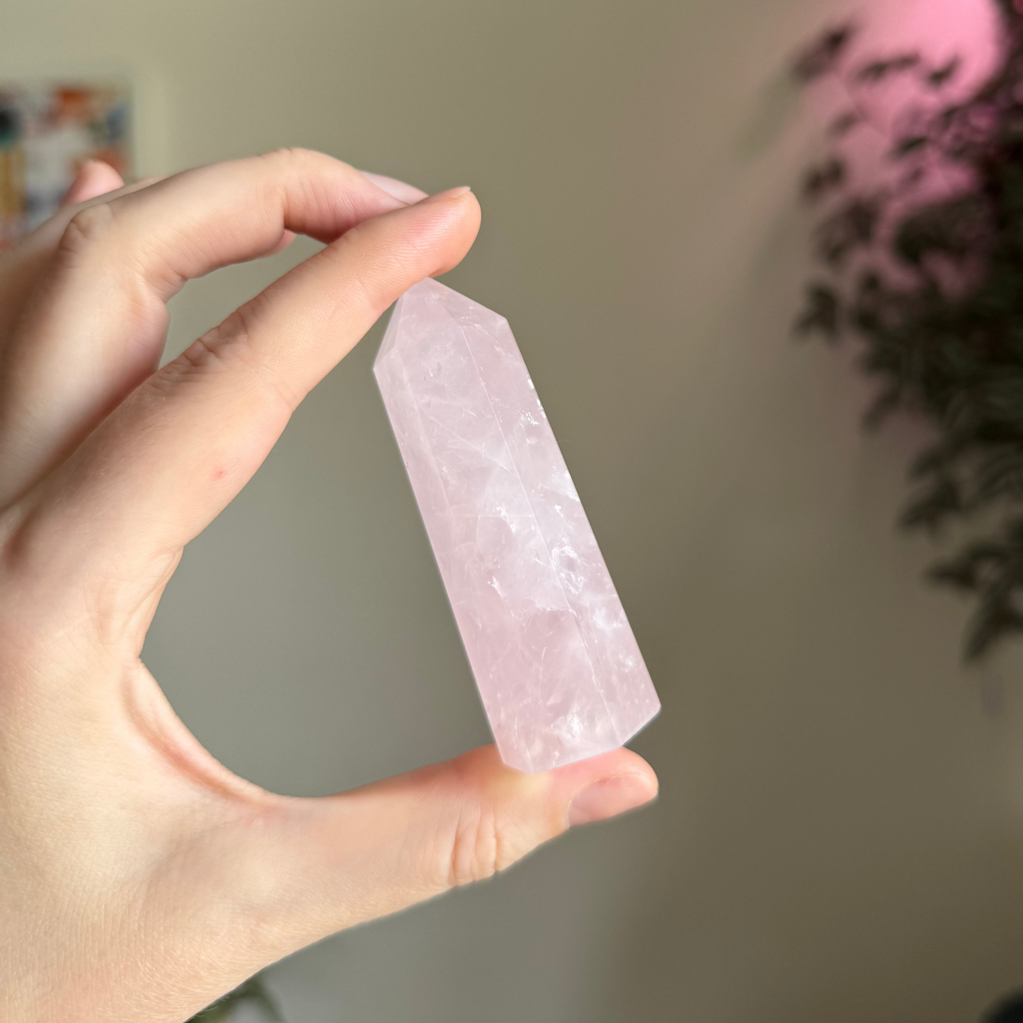 Rose Quartz Crystal for Tea Rituals