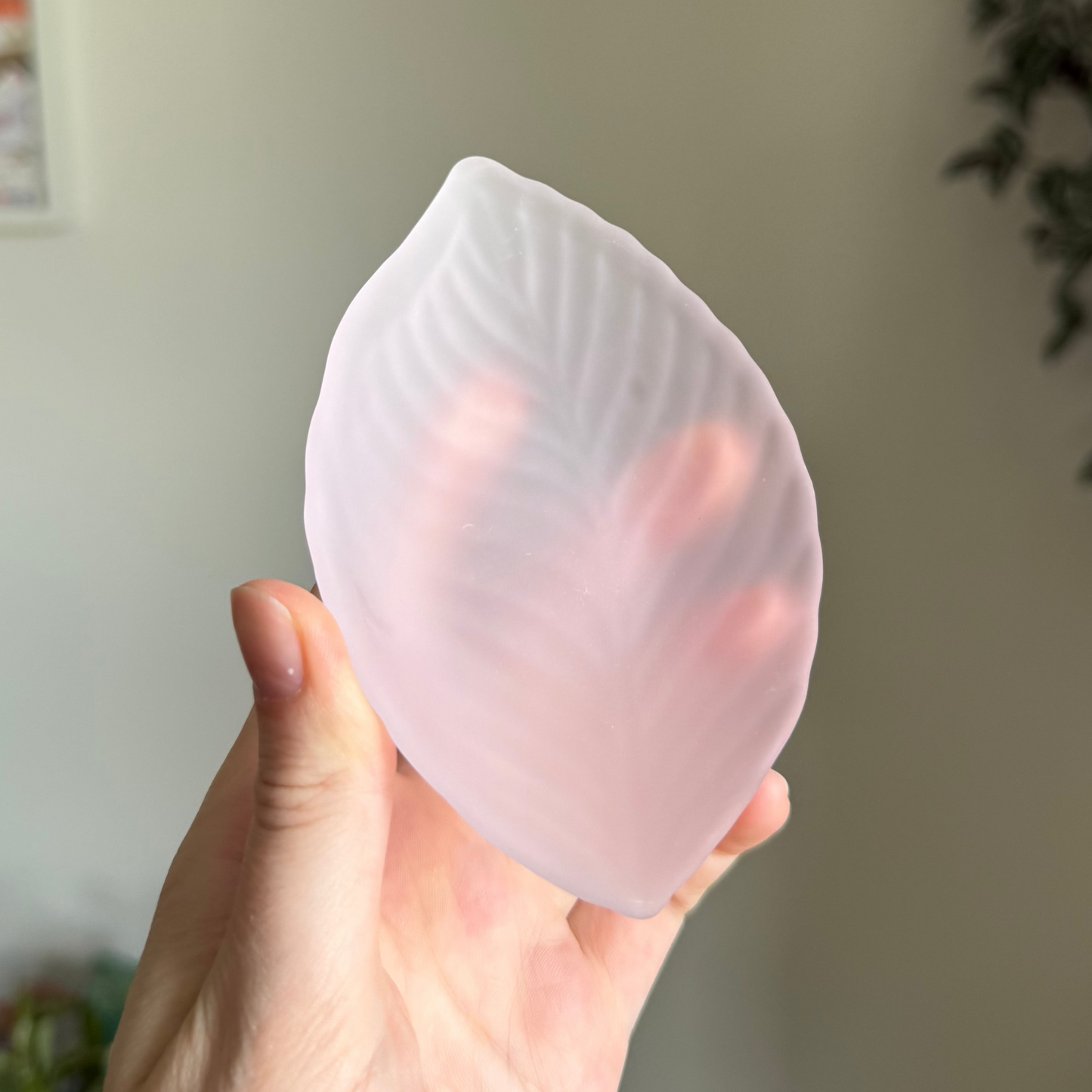 Pink Glass Chahé