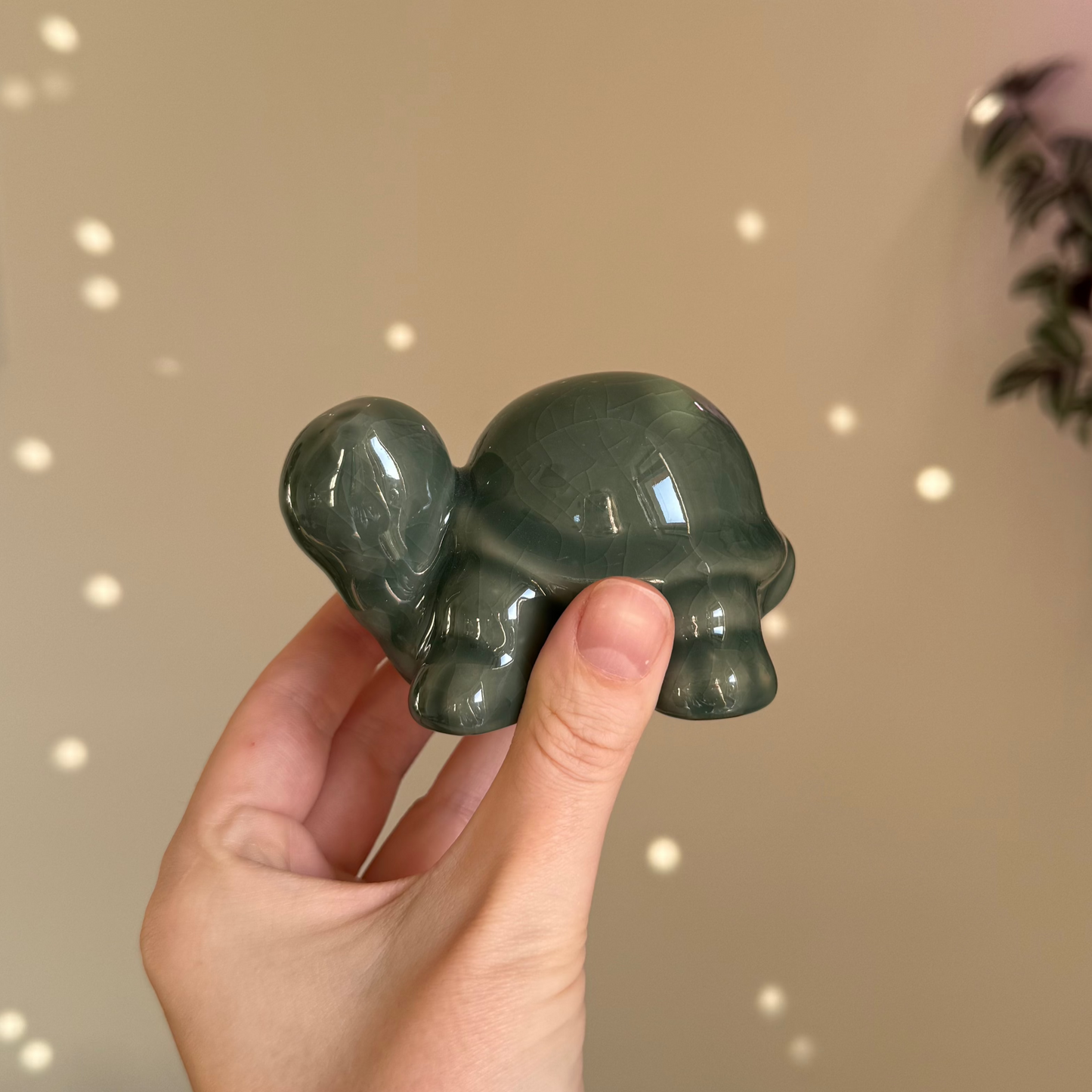 Tea Pet Crackle Turtle