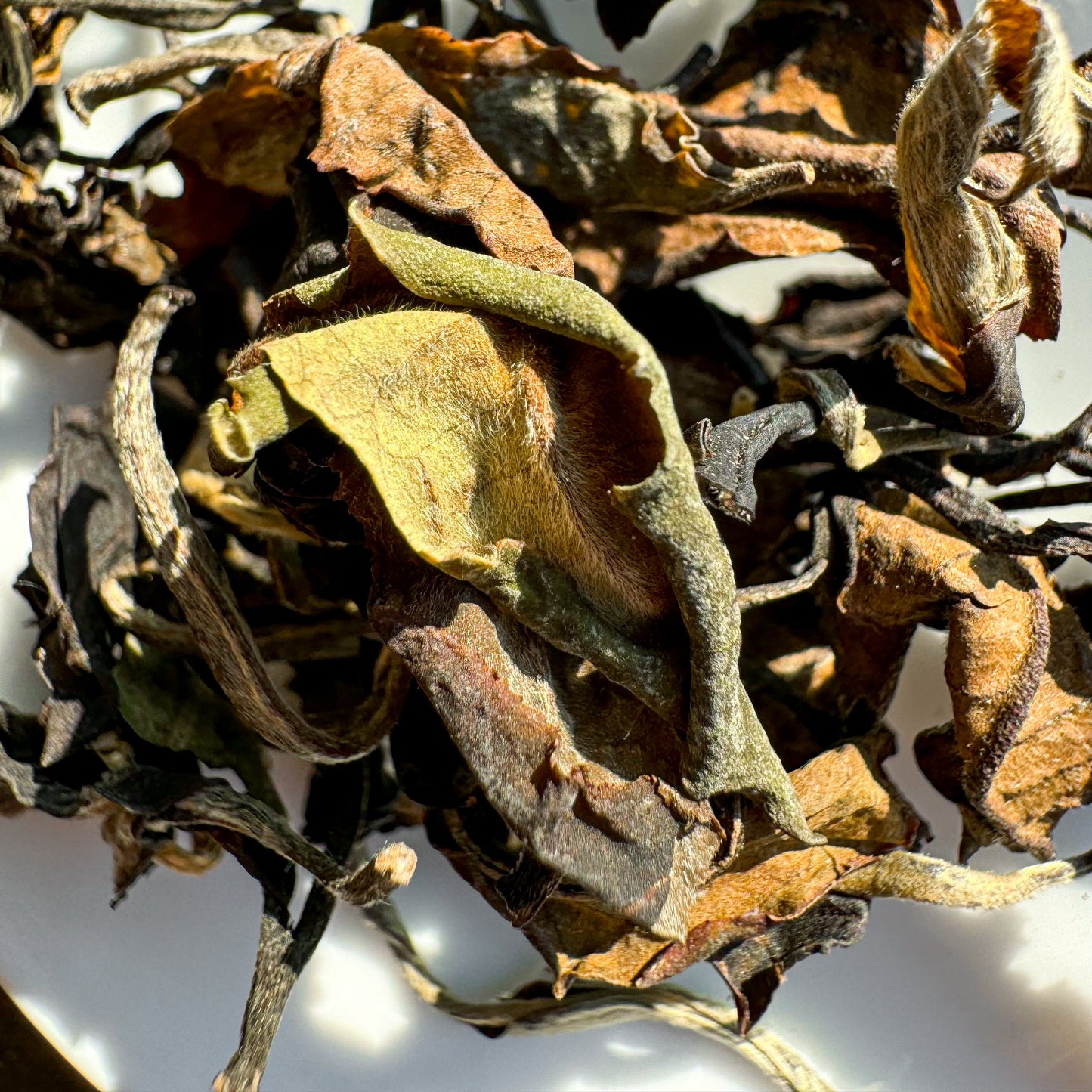Taiwanese White Tea