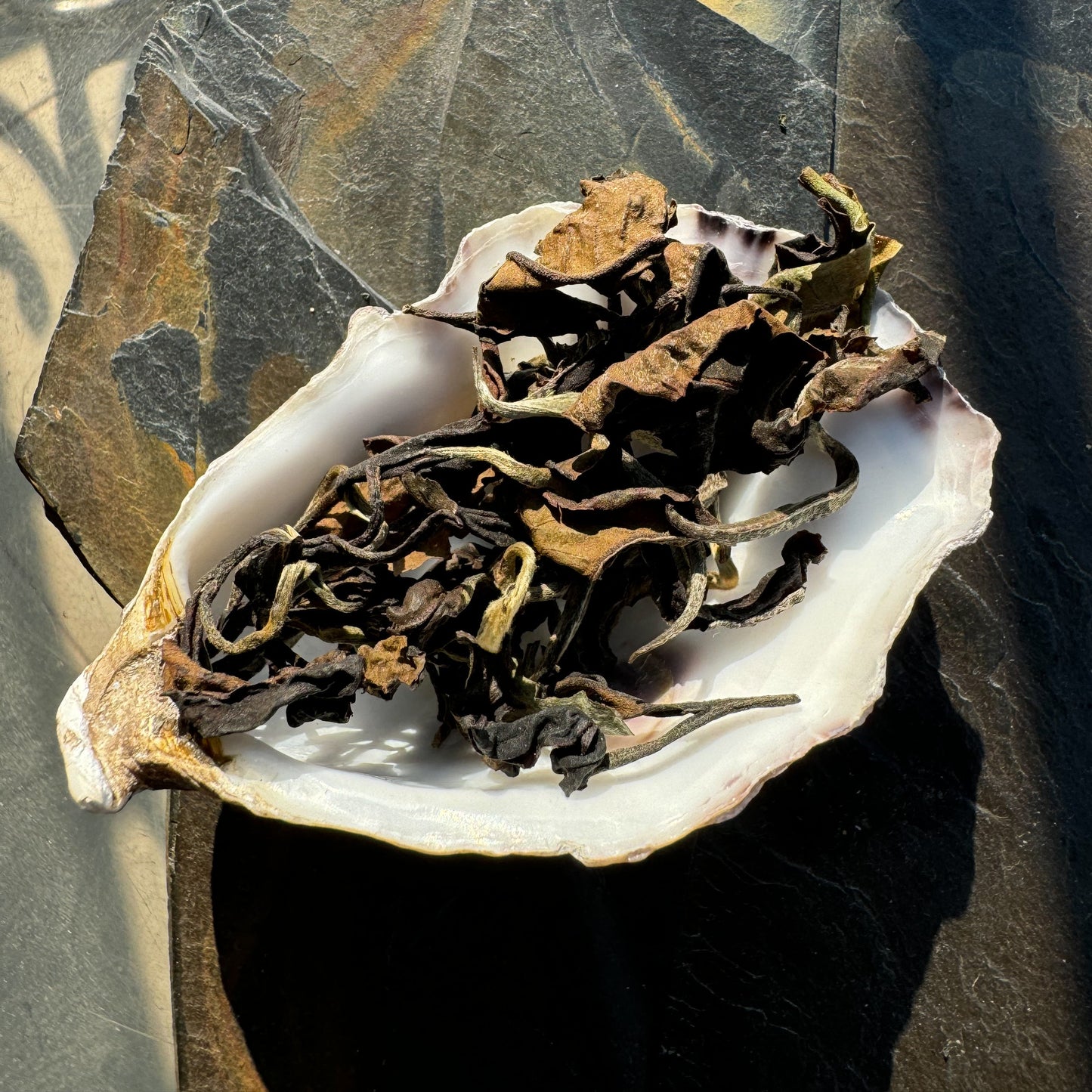 Taiwanese White Tea