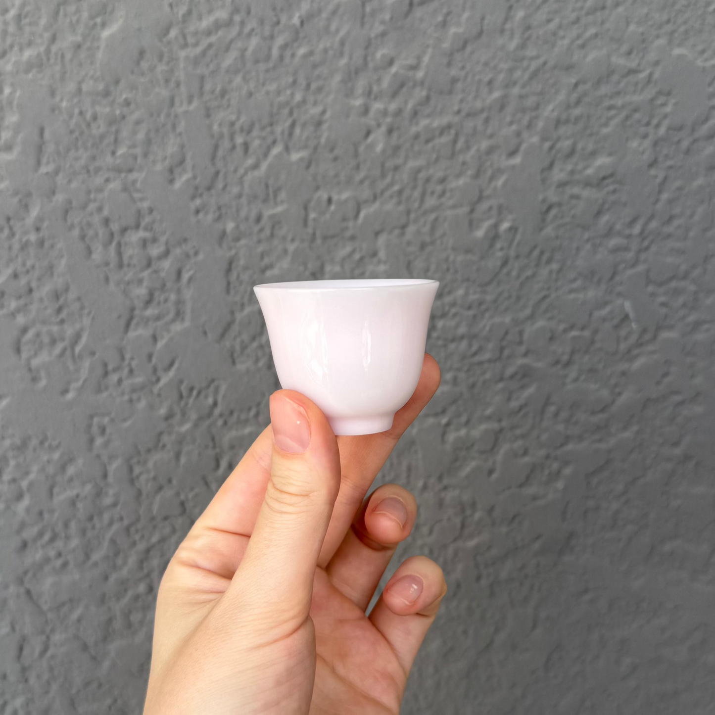 Porcelain Teacup #66