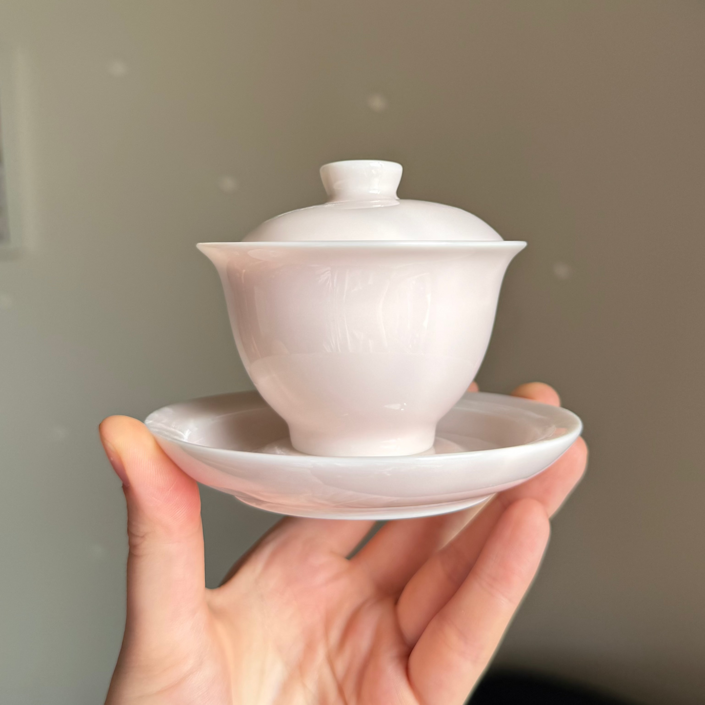 Pink Ceramic Gaiwan Set, 100 ml