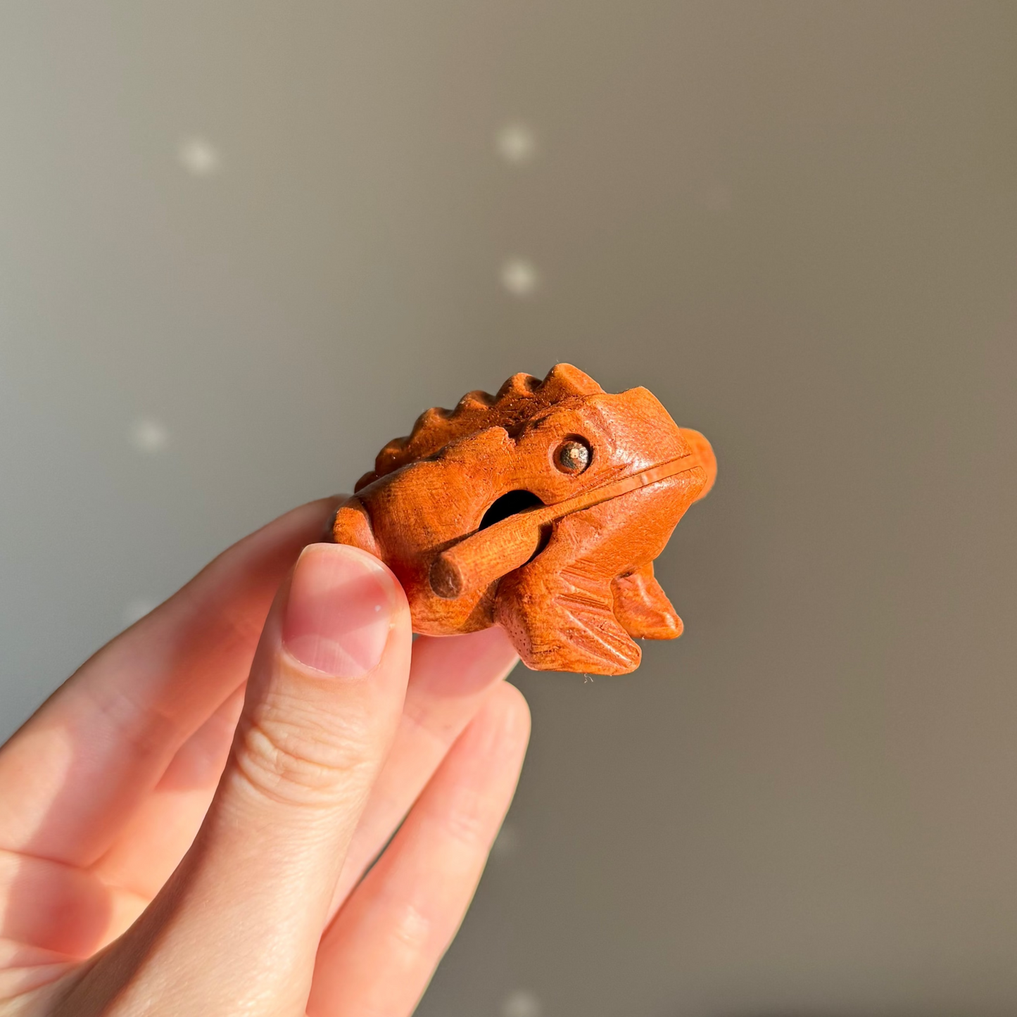 Wooden Croaking Frog (different sizes)