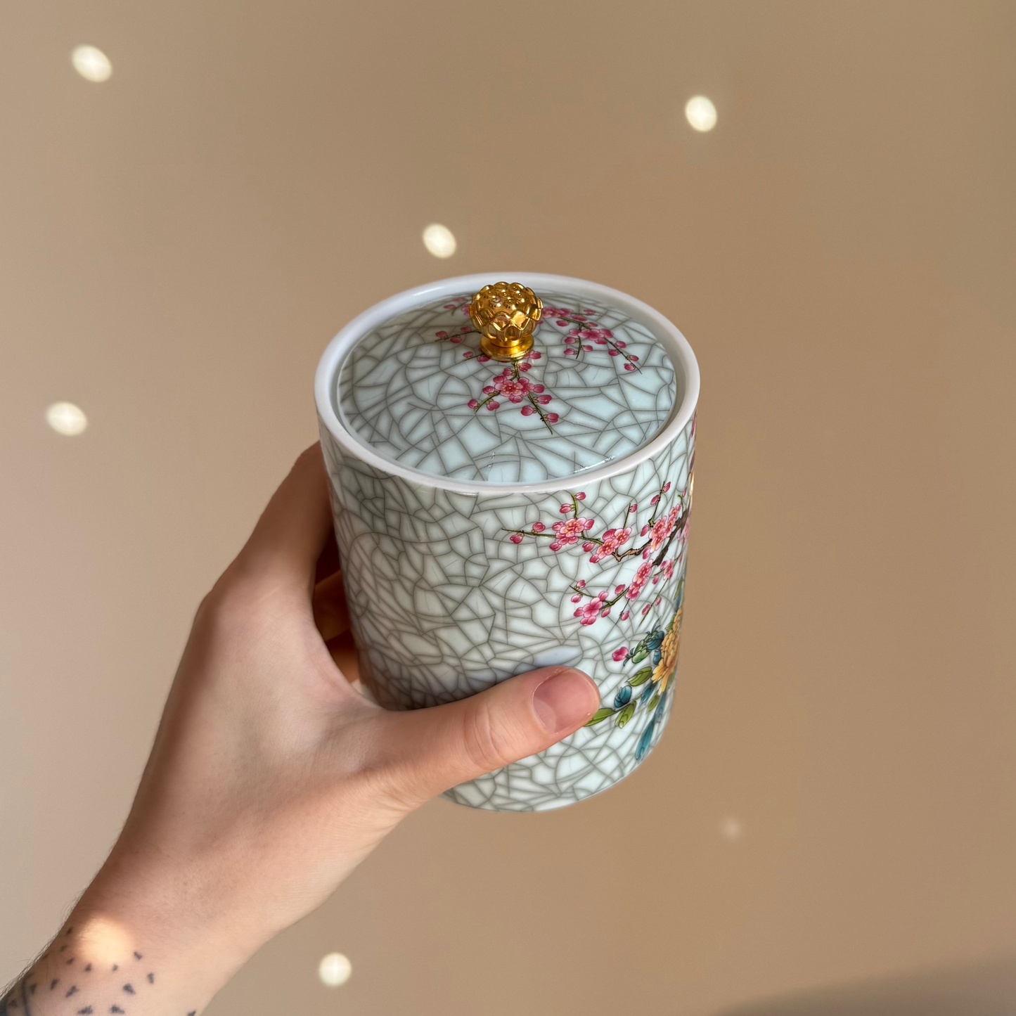 Porcelain Jar with Birds
