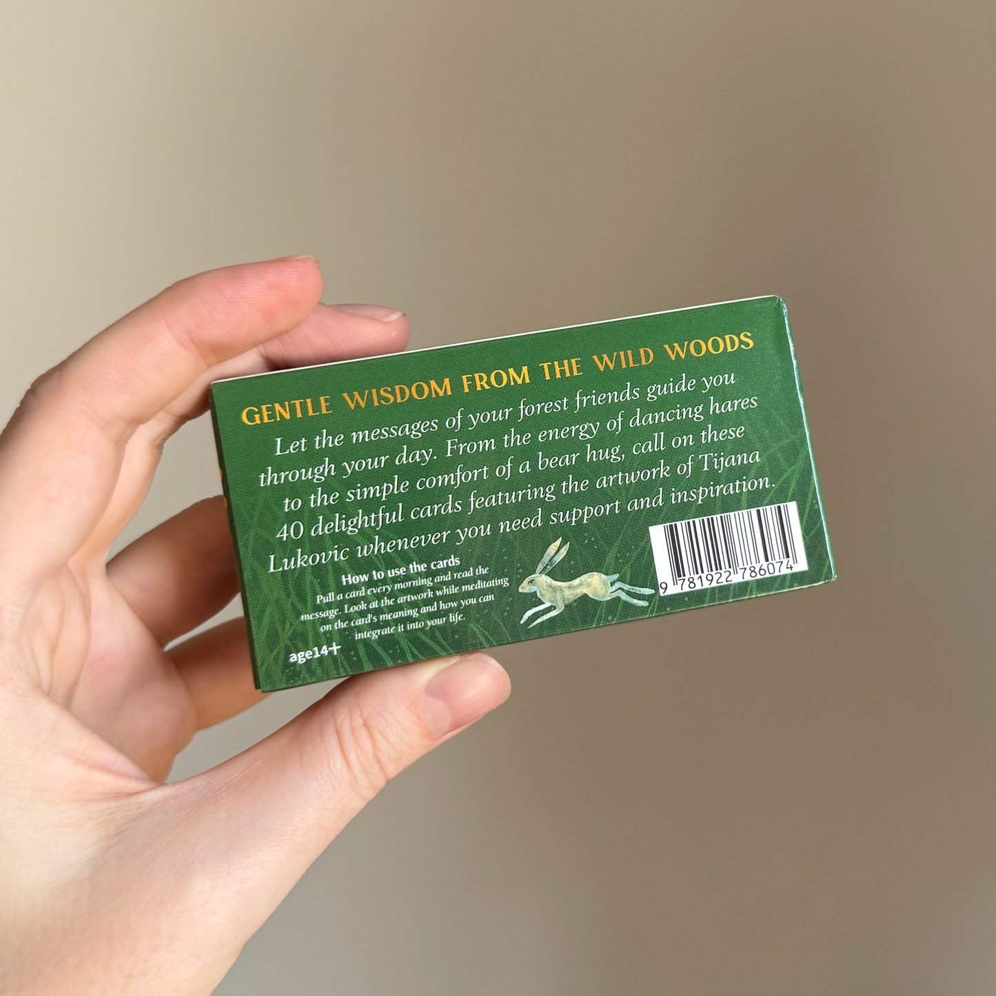 Forest Friends, 40 Cards