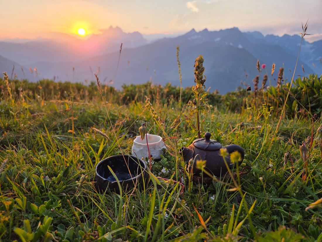 Anastasia Grebennikova