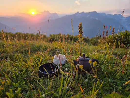 Anastasia Grebennikova