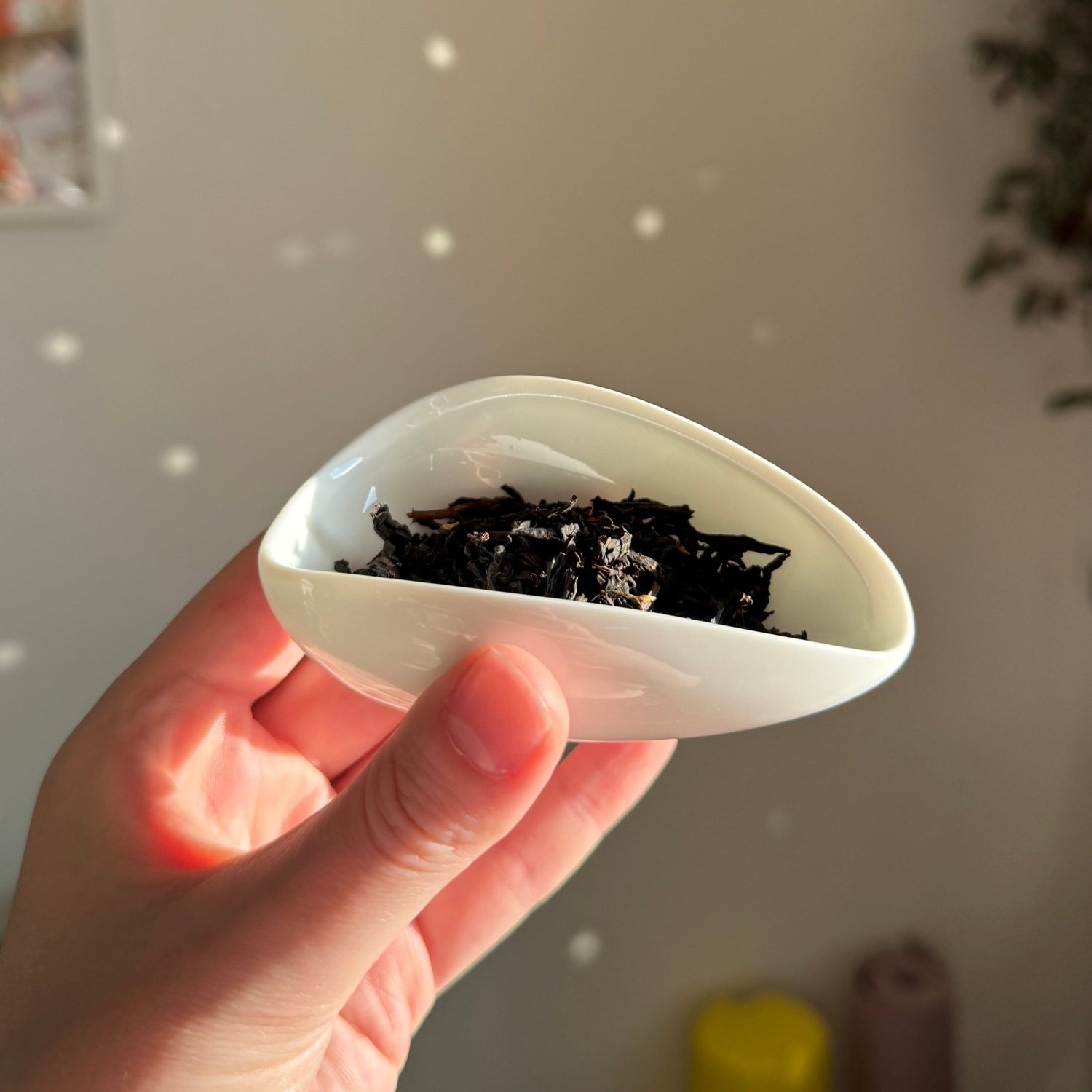 Tea Scoops (Chahé)