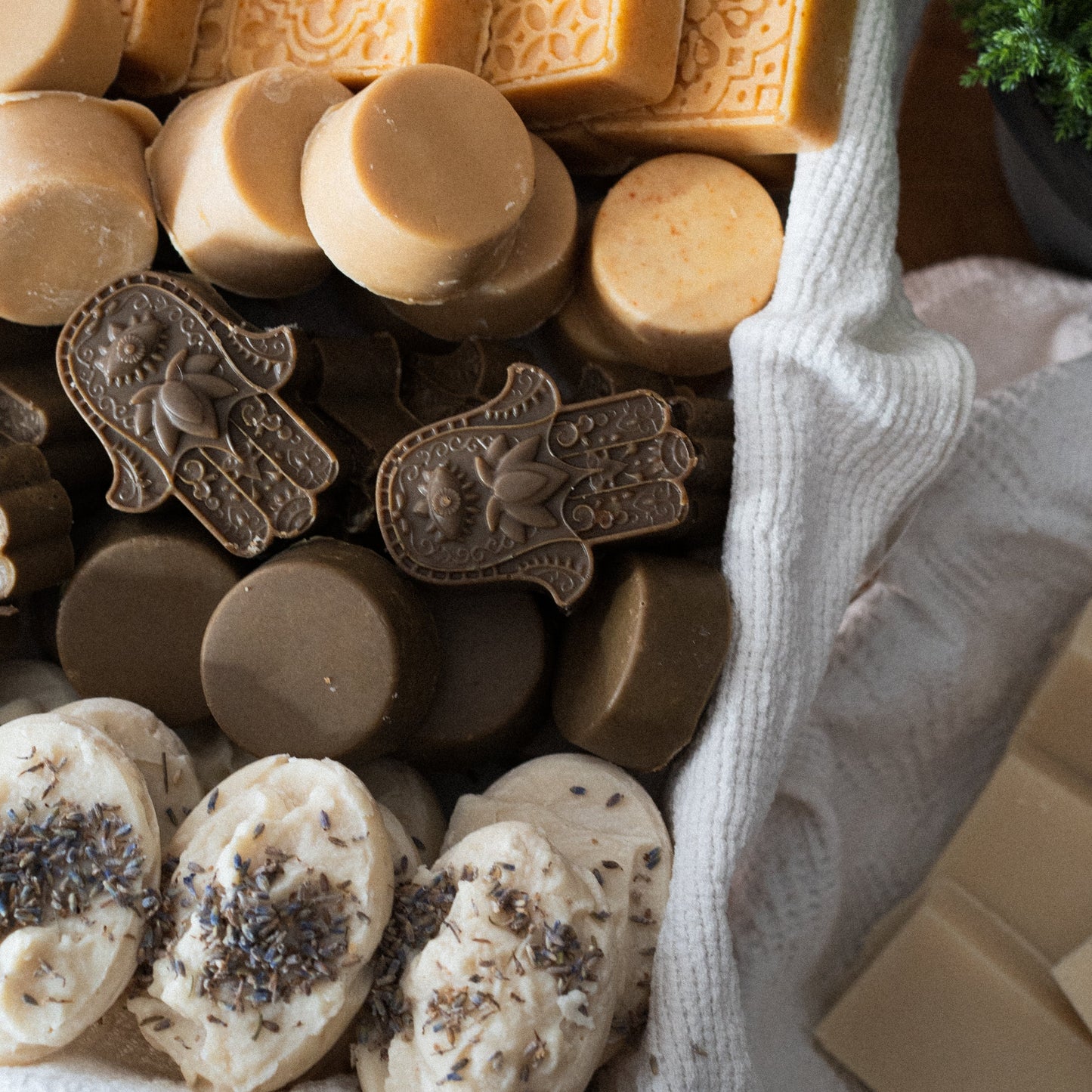 “Neem Leaf & Forest Pine” Soap
