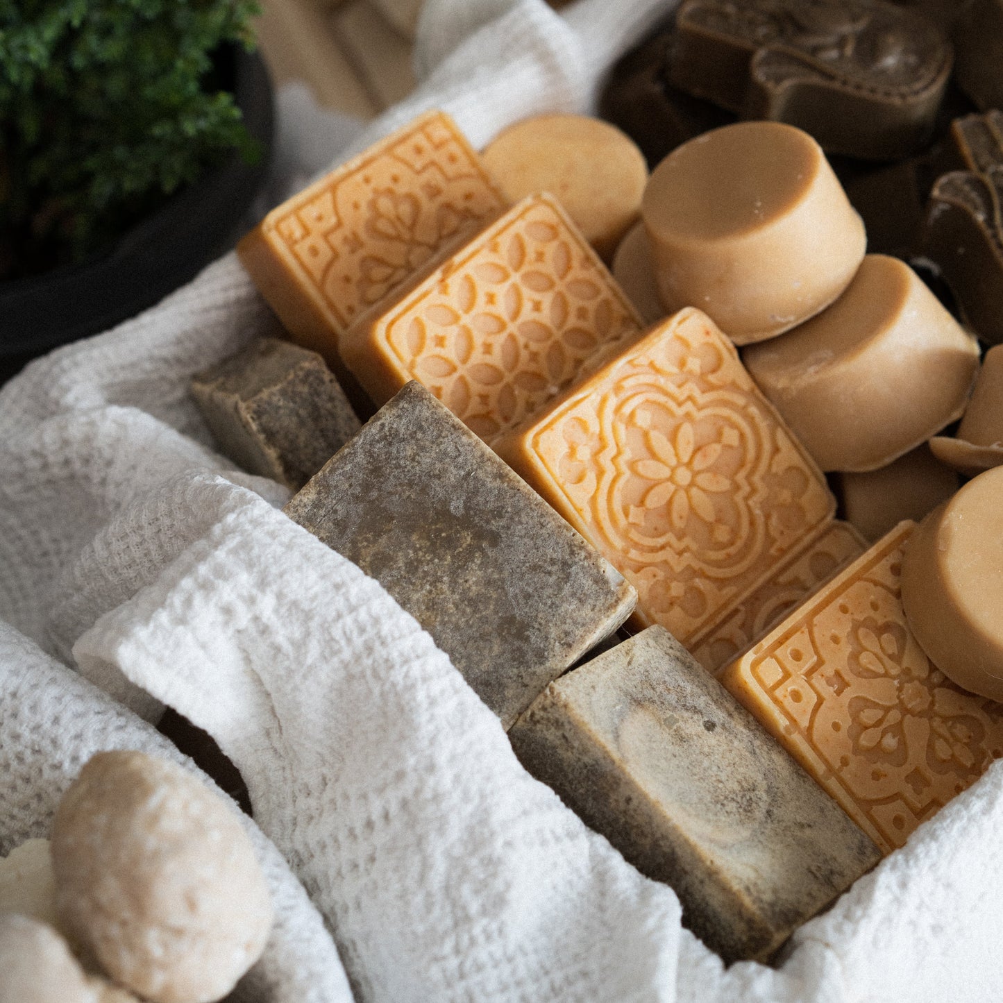 Paprika & Citrus Soap