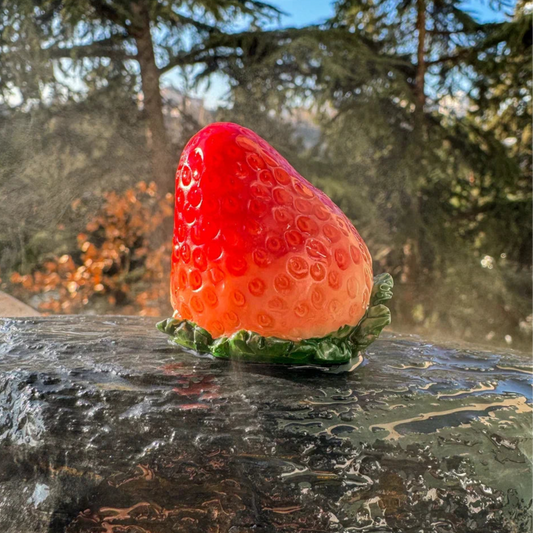 Strawberry Tea Pet with Color Change