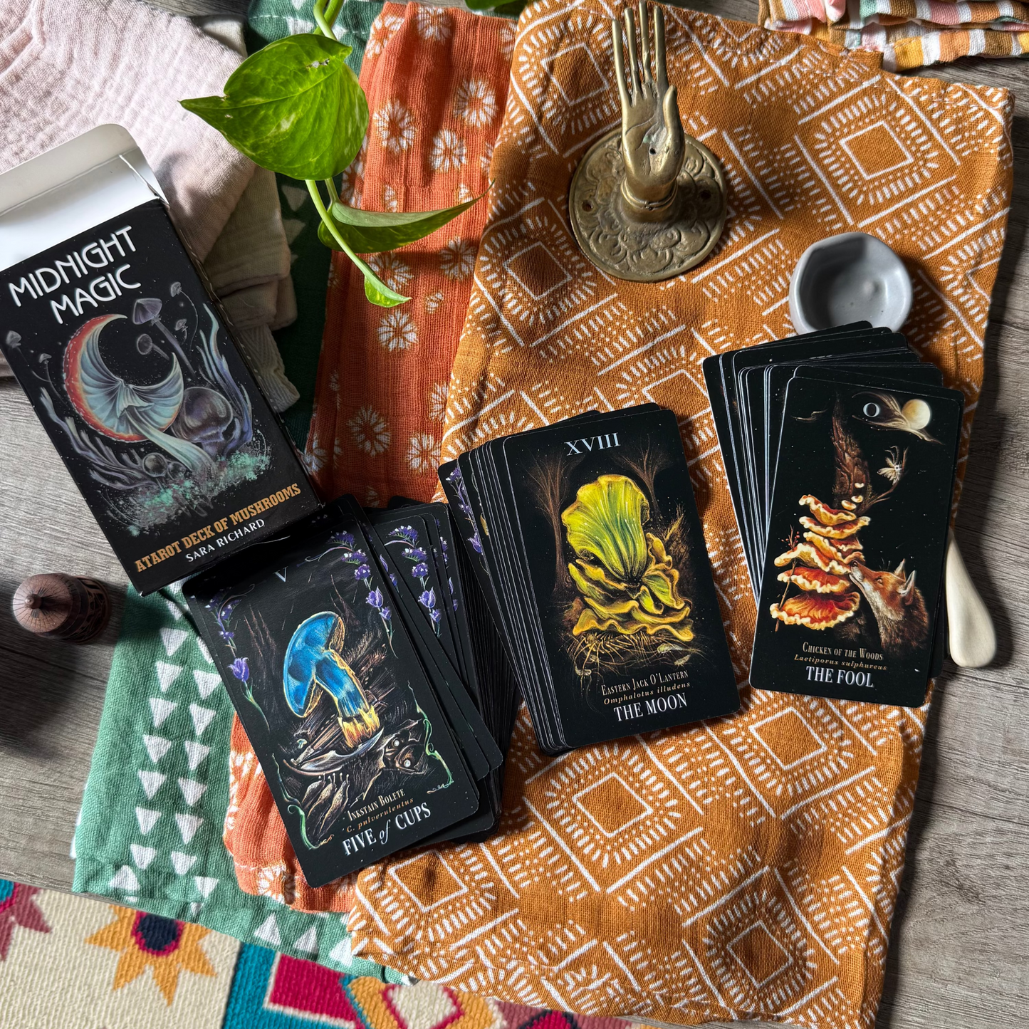 Midnight Magic: A Tarot Deck of Mushrooms