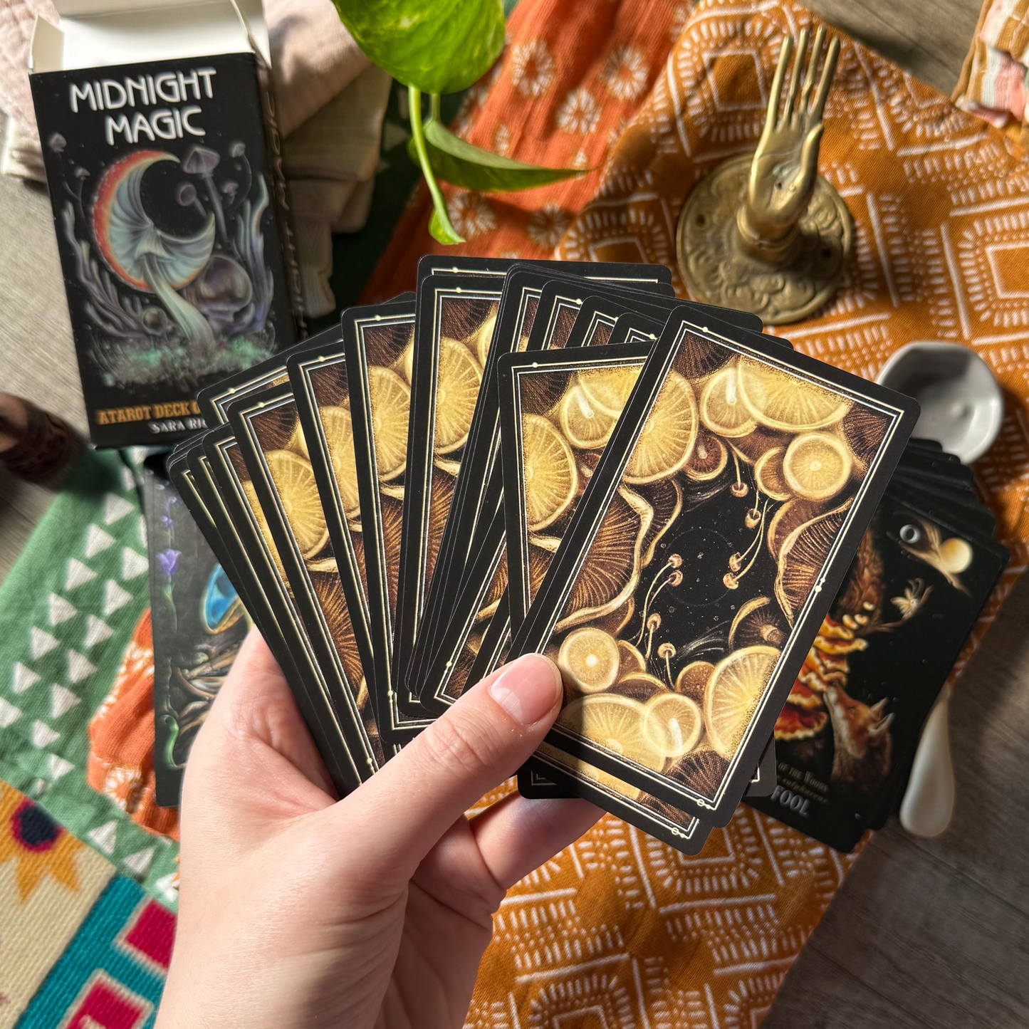 Midnight Magic: A Tarot Deck of Mushrooms