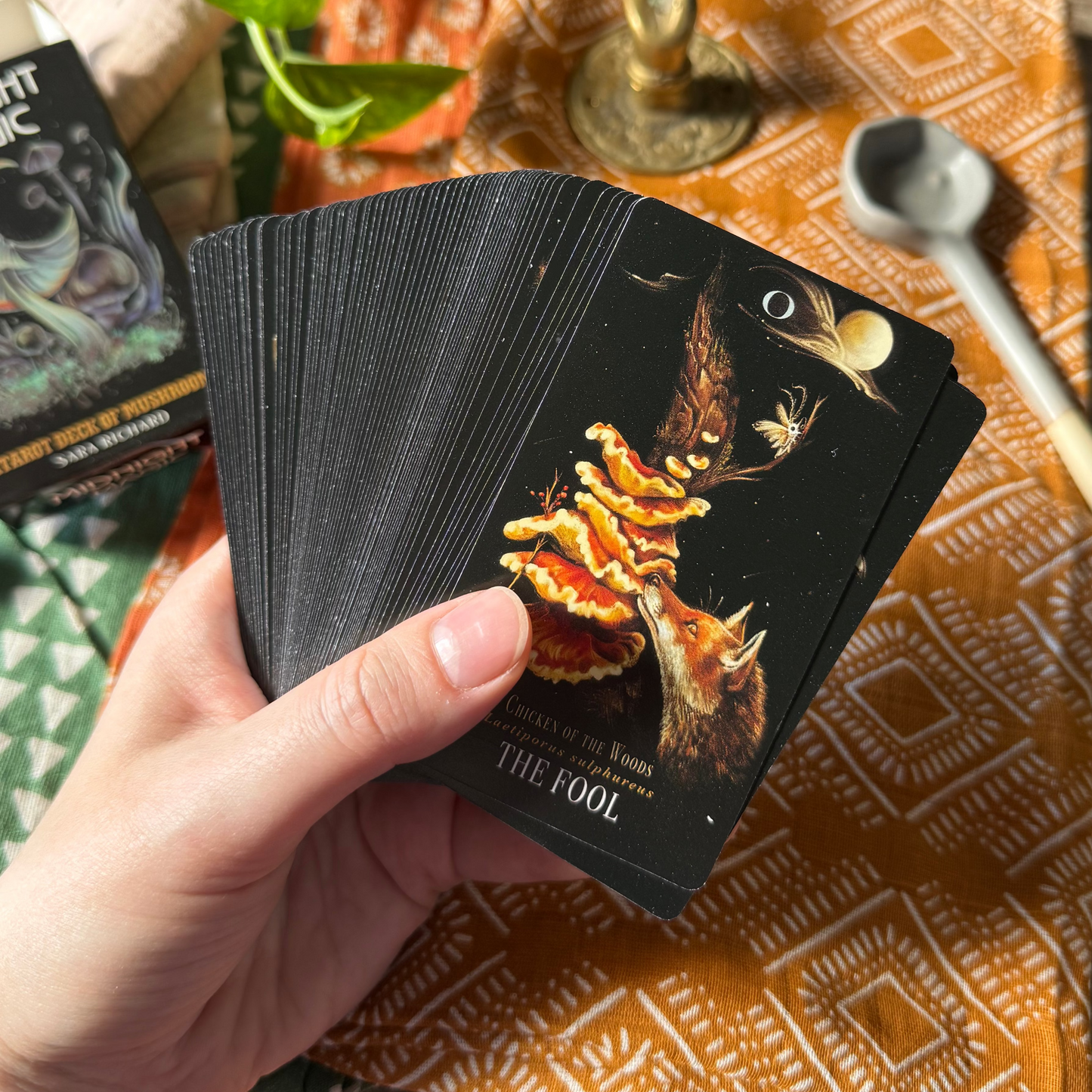 Midnight Magic: A Tarot Deck of Mushrooms