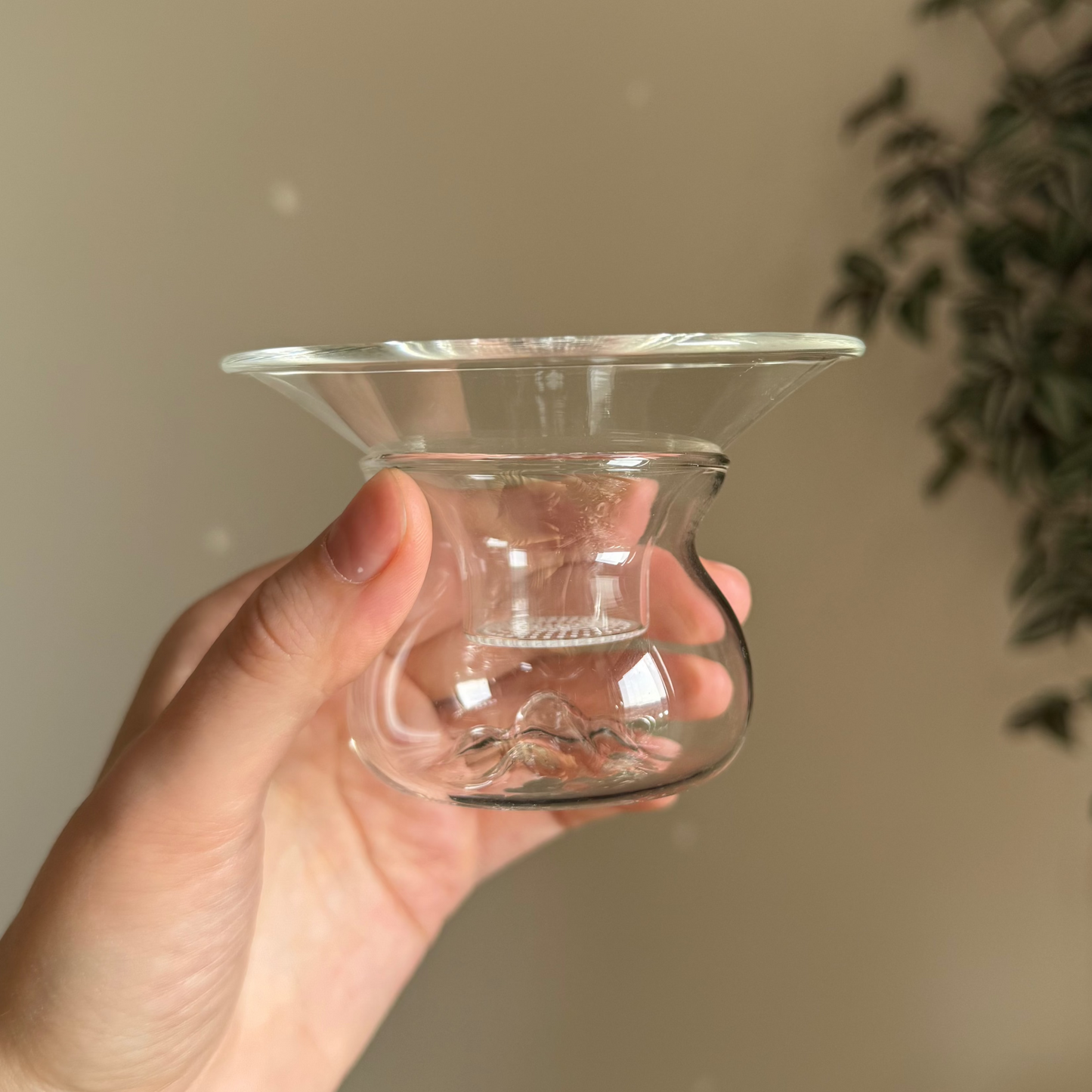 Clear Glass Tea Strainer