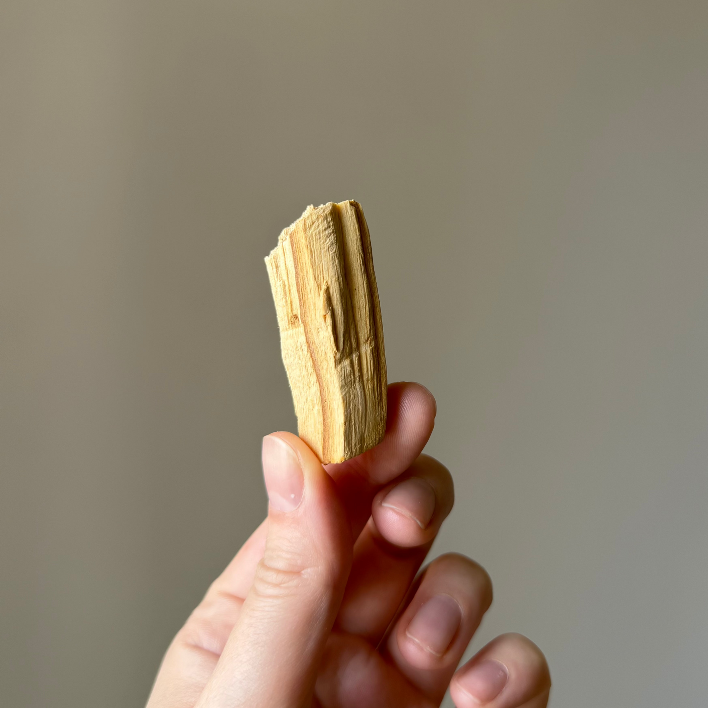Mini Palo Santo Stick