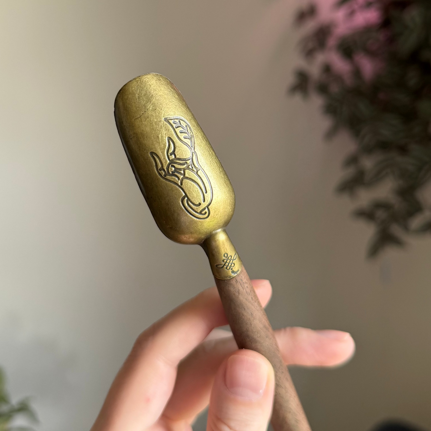 Brass & Wood Tea Scoop