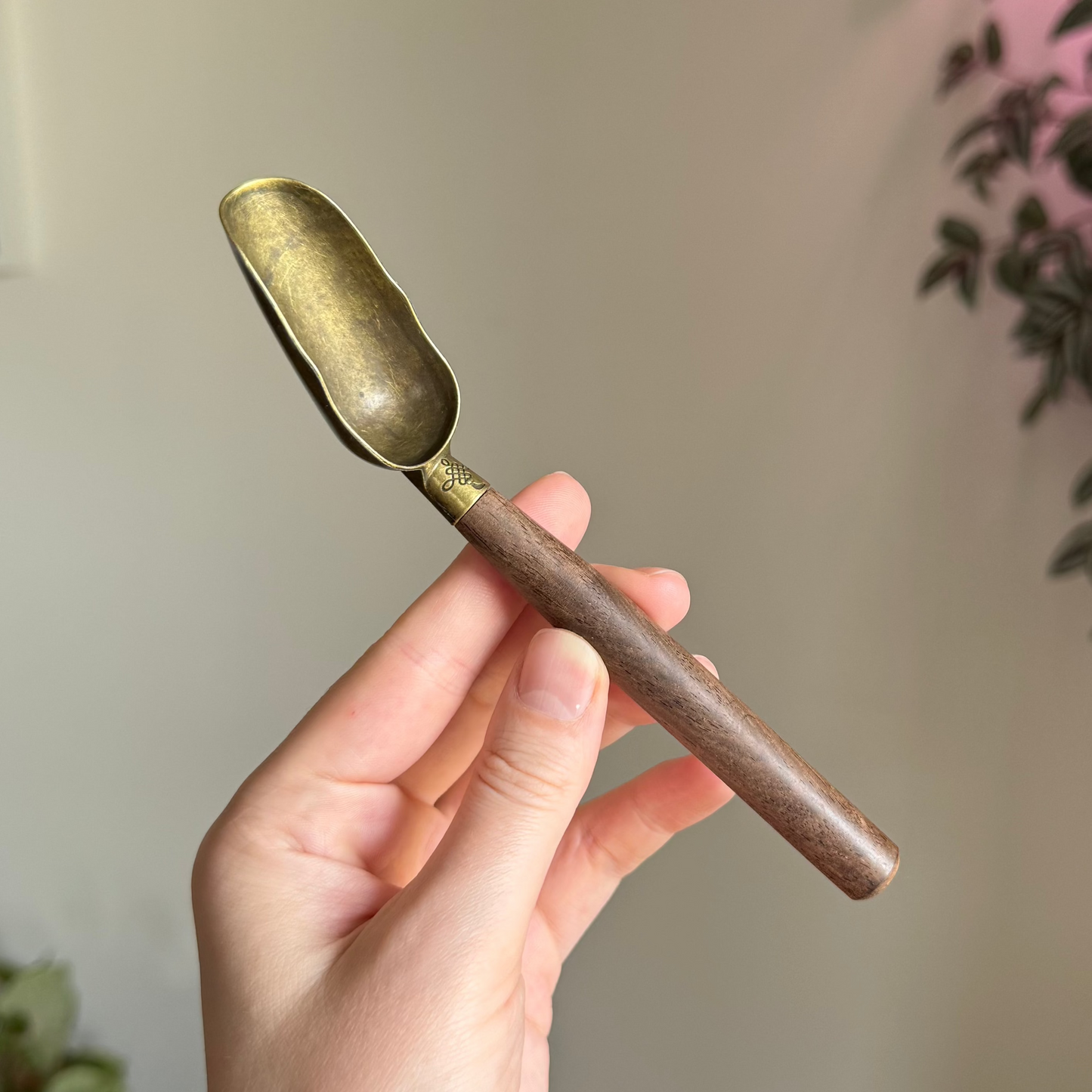 Brass & Wood Tea Scoop