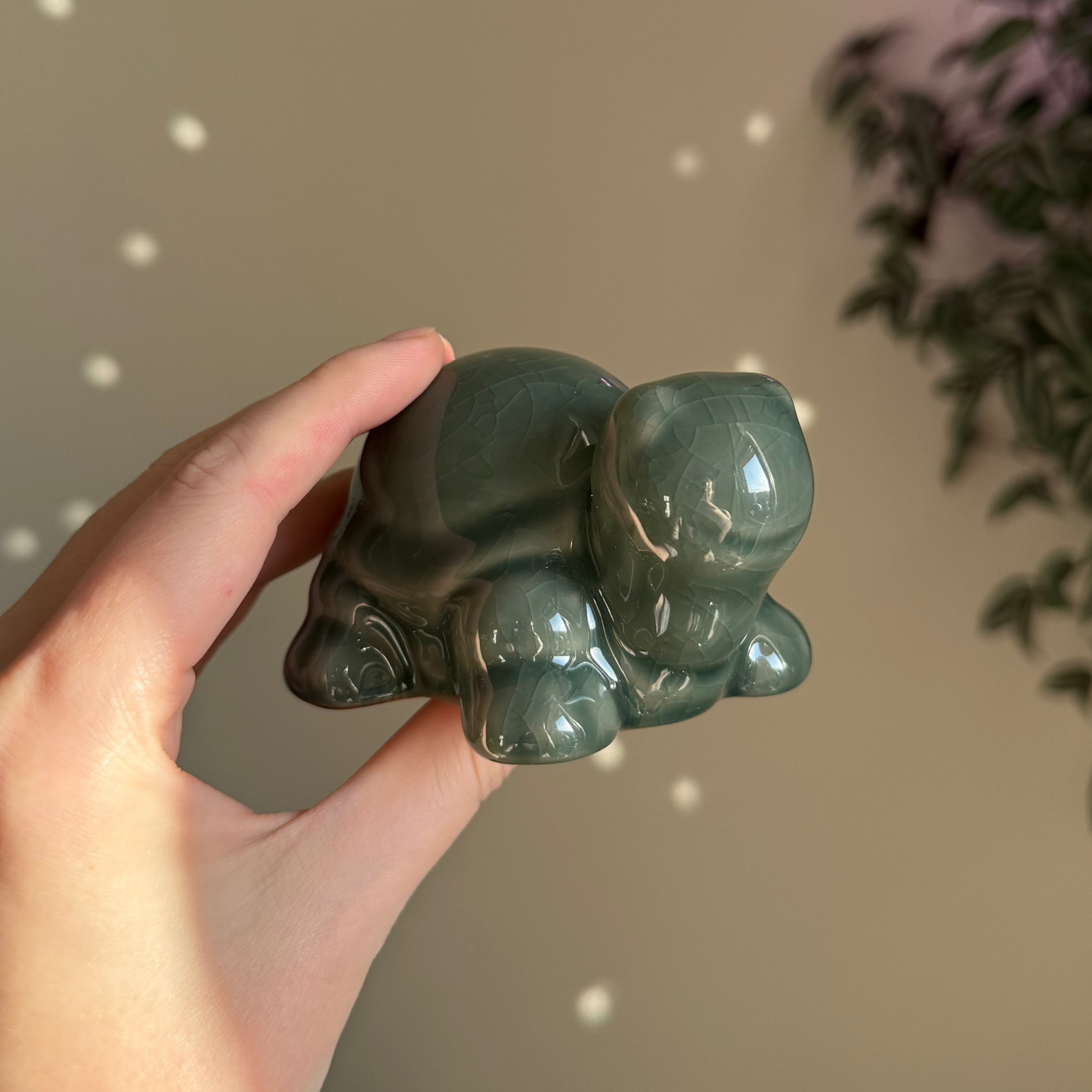 Tea Pet Crackle Turtle