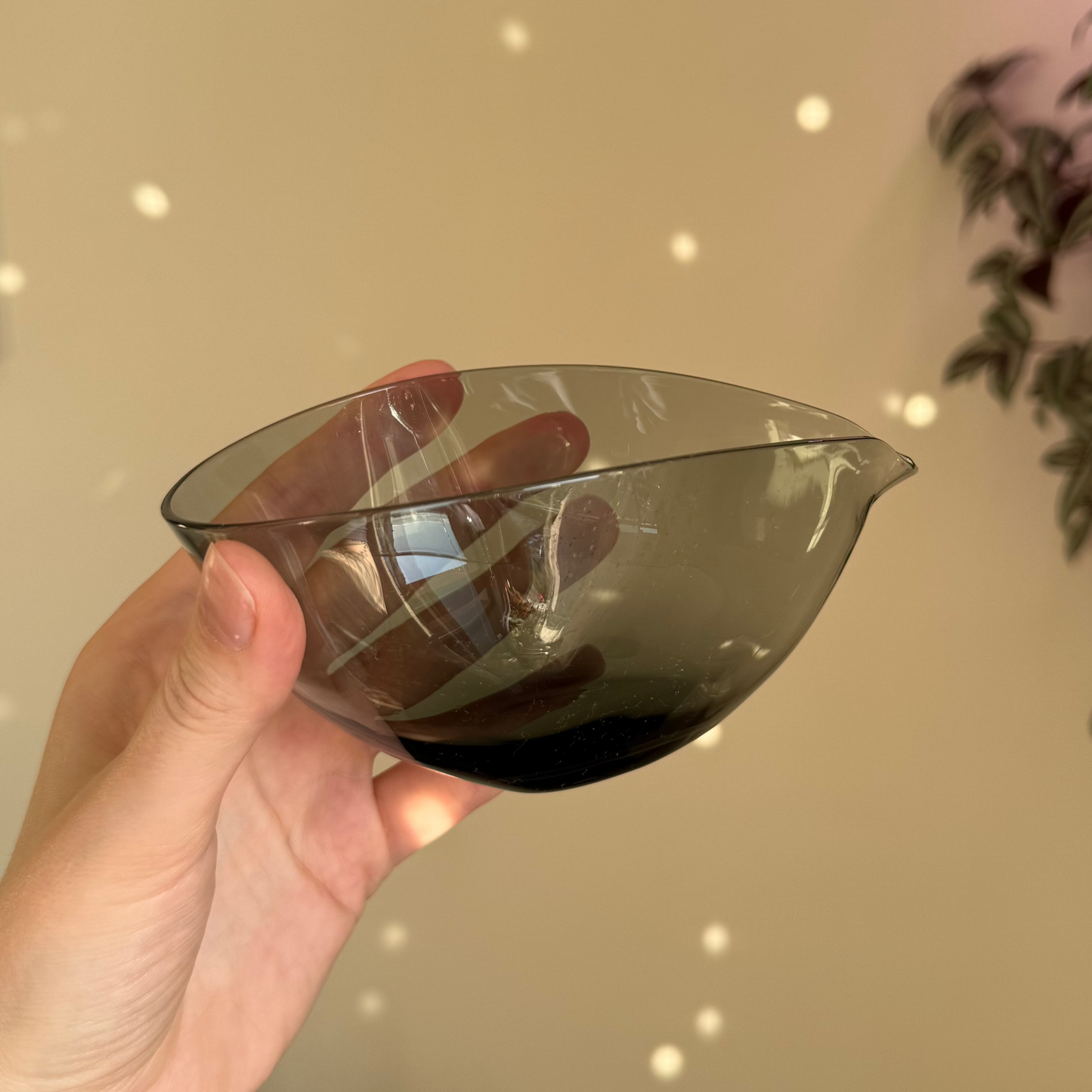 Black Glass Bowl