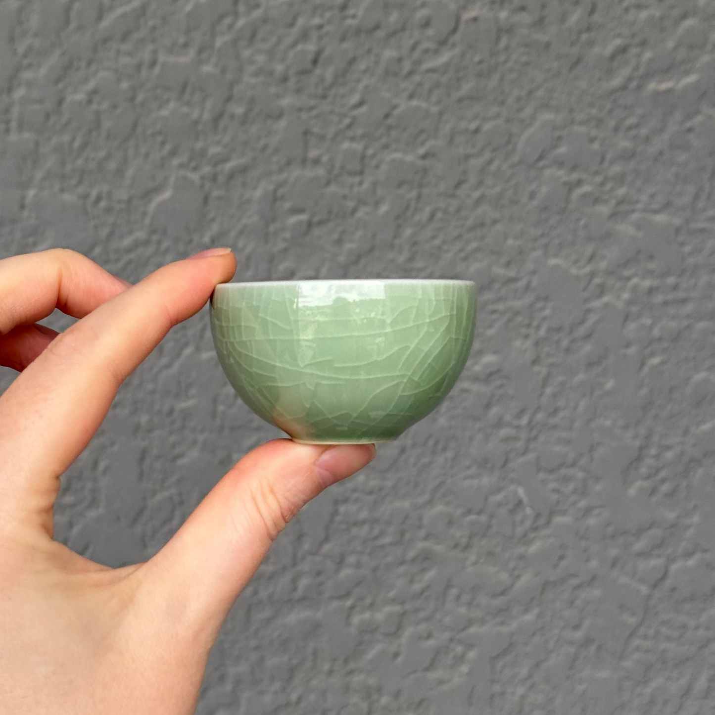 Ceramic Teacup #101