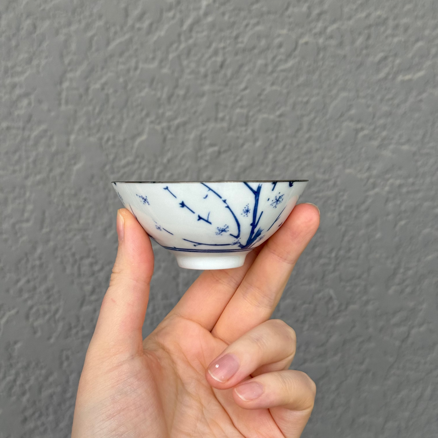 Ceramic Teacup #123