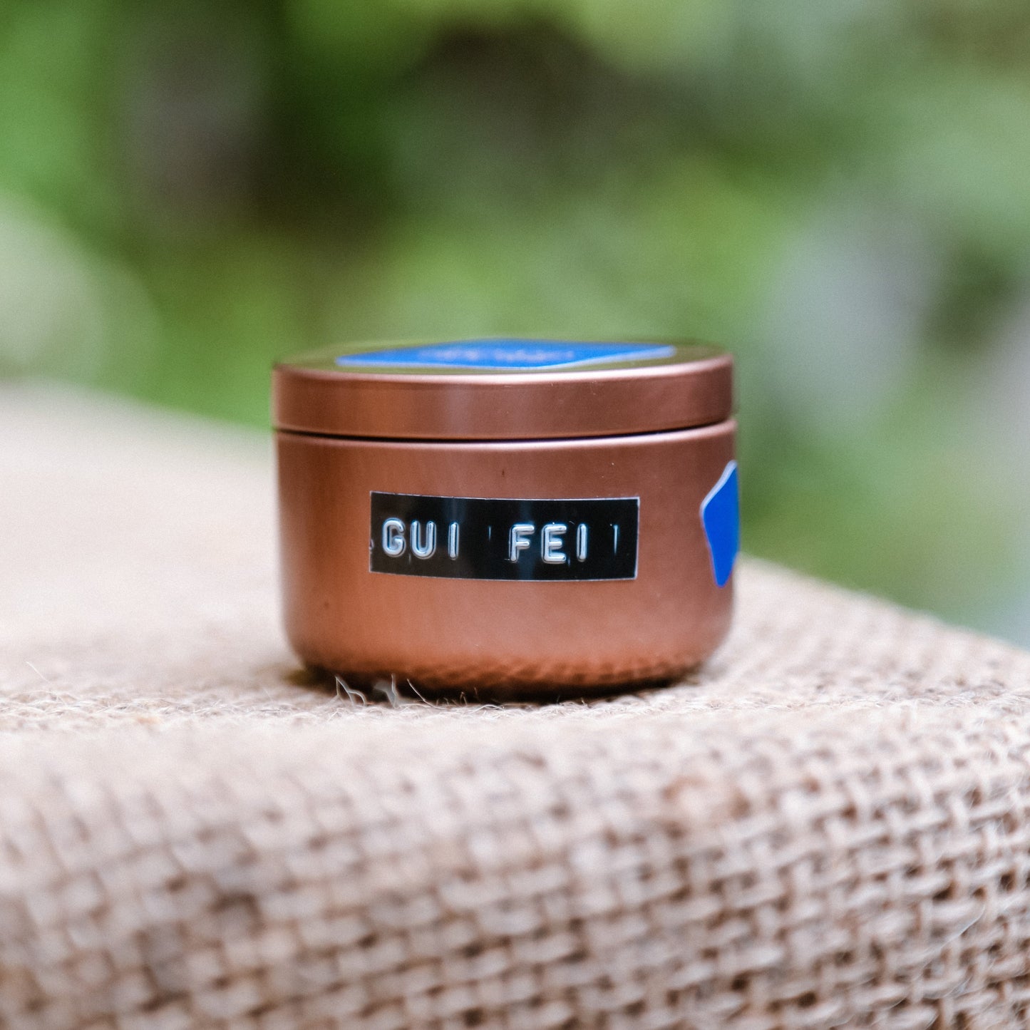 Gui Fei: The Emperor’s Concubine